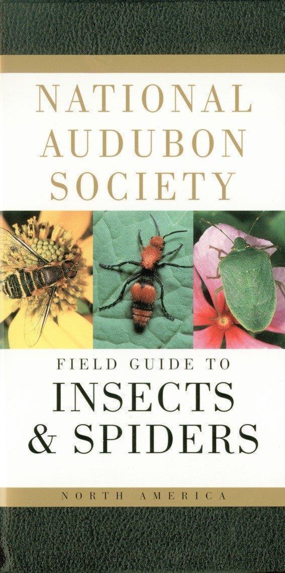 Audubon Field Guide to Insects & Spiders - not applicable 1