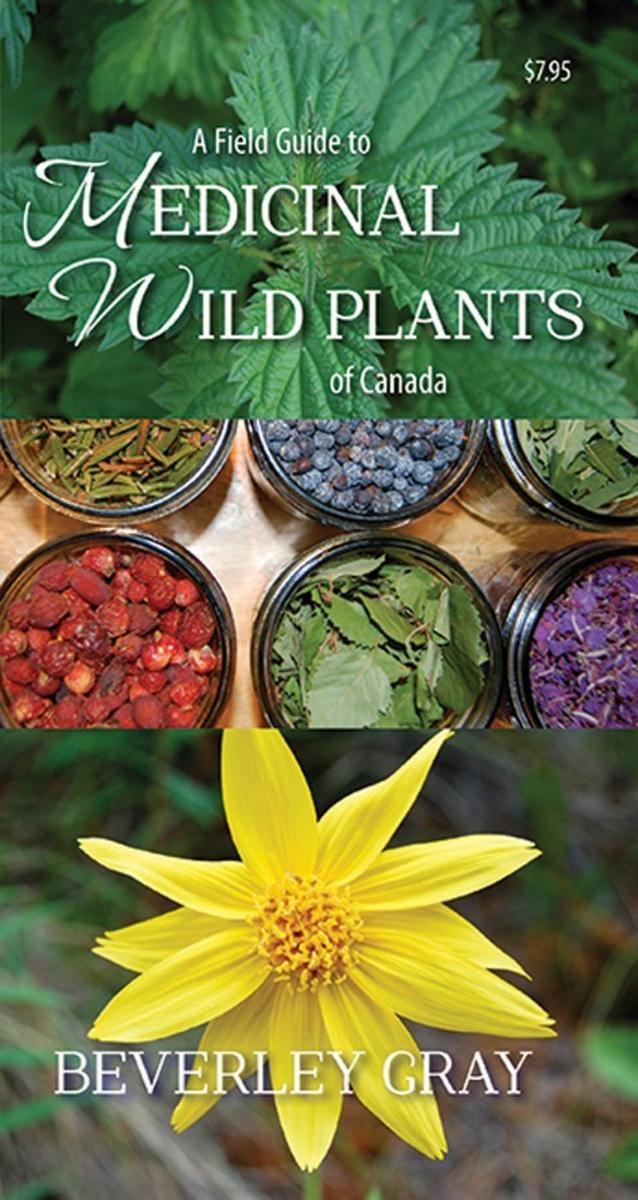 Field Guide to Medicinal Wild Plants of Canada - Not Applicable 1