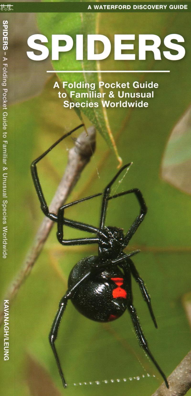 Pocket Naturalist Guide: Spiders - Not Applicable 1