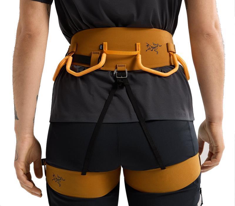 AR-385a Harness - Womens - Yukon / Amaranthus / Edziza 3