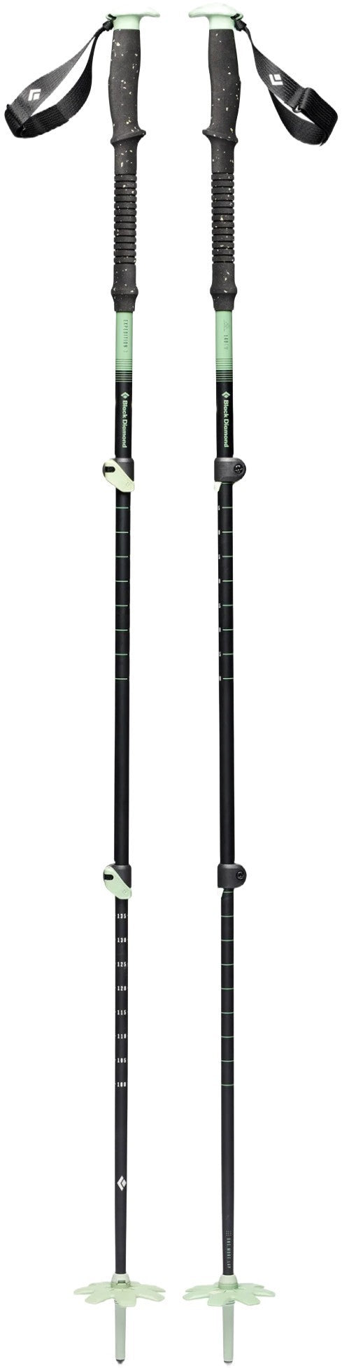 Expedition 3 Ski Poles - desert sage 1