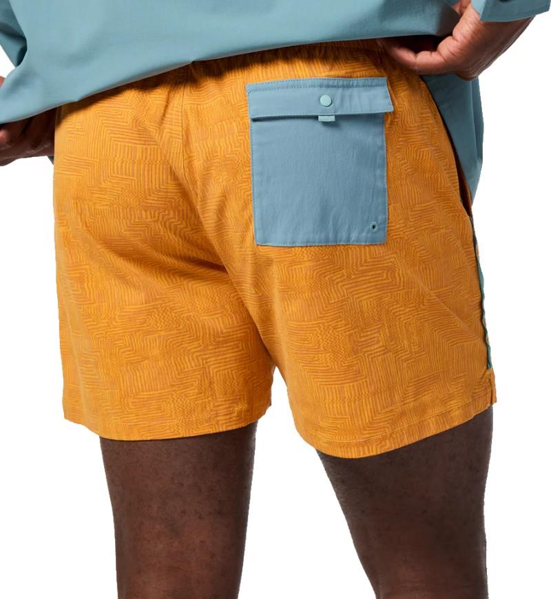 Brinco Shorts, 5" Inseam, Printed - Mens - zen garden honeycomb 1