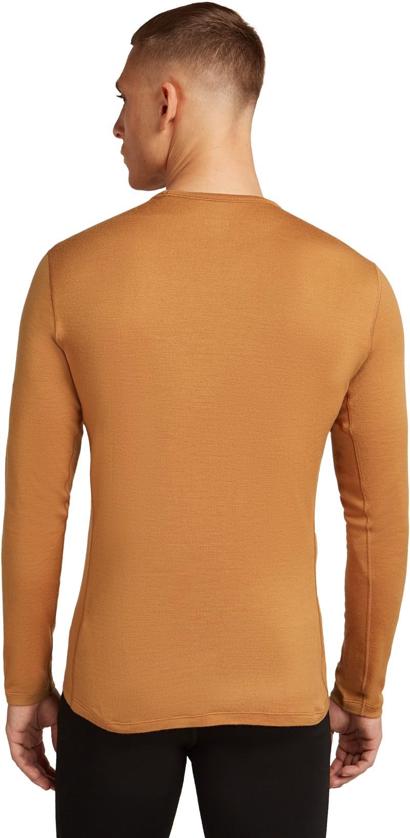 Merino 260 Tech LS Crewe - Mens - trail 1