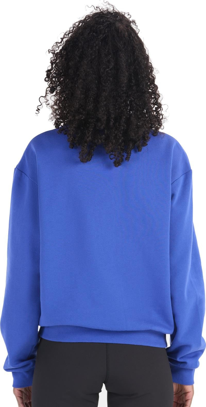 Retro Mountain Boxy Crew Sweatshirt - Womens - trail blue 1