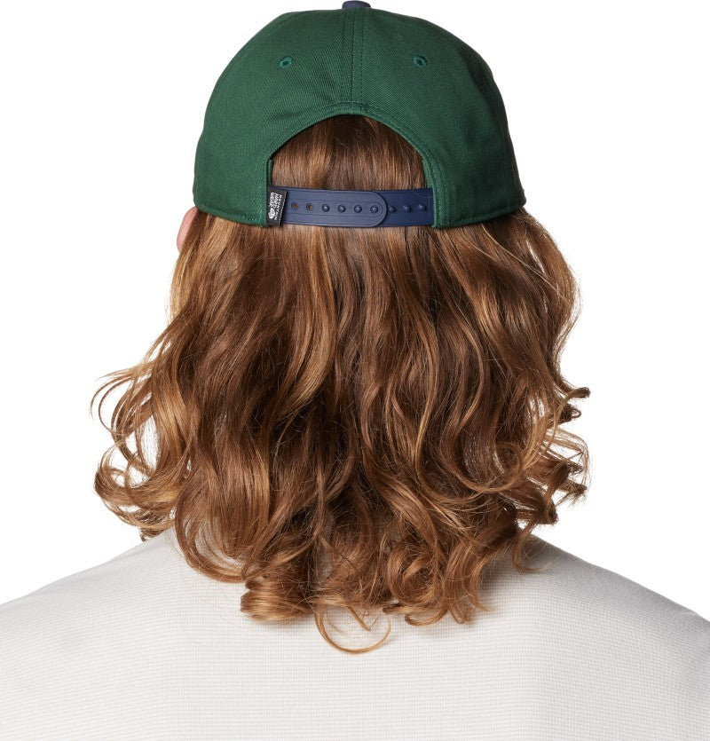 Canvas 5 Panel Hat - lapis dusk / blue pine 1