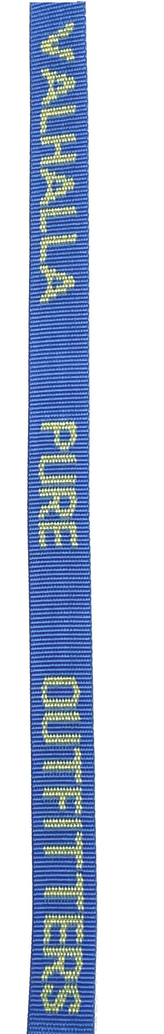 15` NRS 1" Buckle Bumper Straps - Pair - VPO Logo - Not Applicable 2