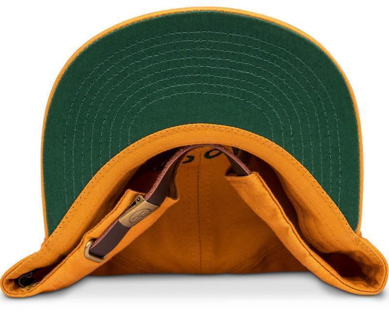 Extinct Creature Six Panel Hat - mexican grizzly bear 1