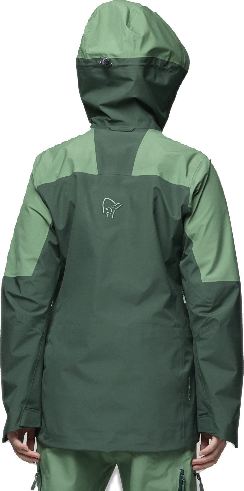 Lofoten GTX Jacket - Womens - dark ivy 1
