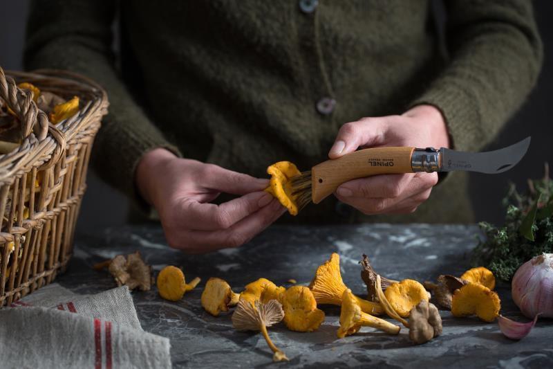 No.8 Mushroom Knife - Beechwood 9
