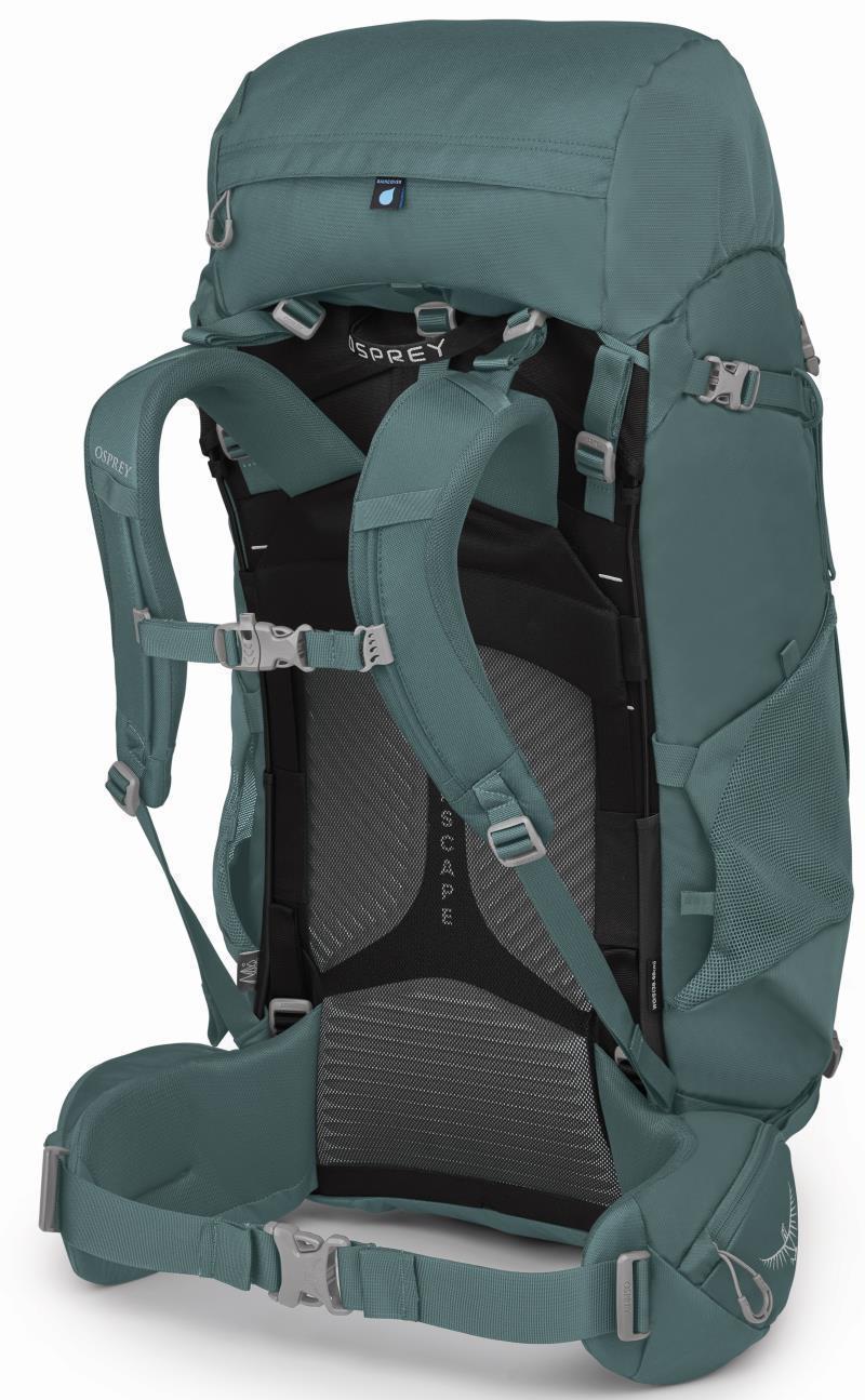 Viva 65 - Womens - Succulent Green 3
