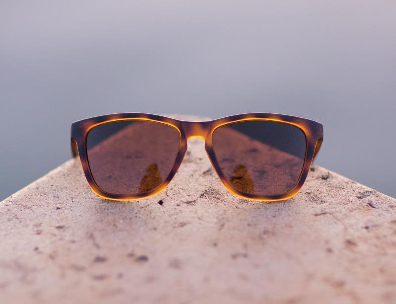 Madrona, Tortoise Frame, Brown Lens - Not Applicable 5