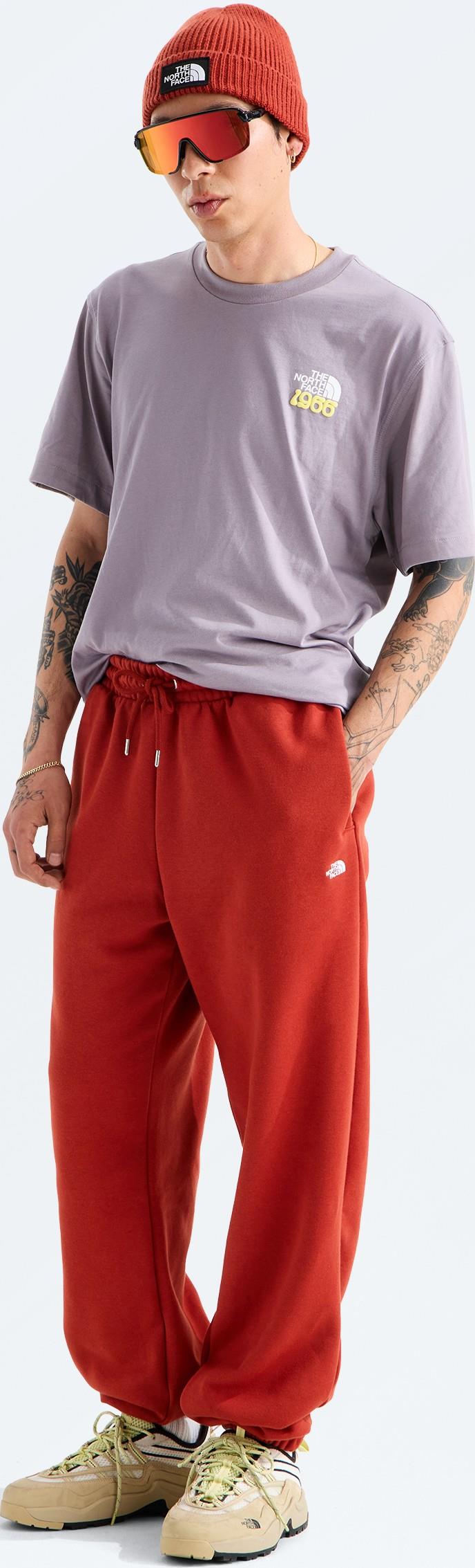 TNF Essential Simple Dome Pants - Mens - iron clay 1