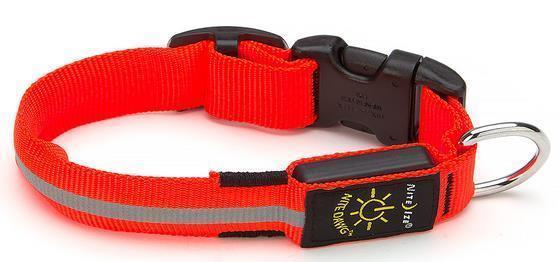Nite Dawg LED Dog Collar - Orange - Small - Orange 1