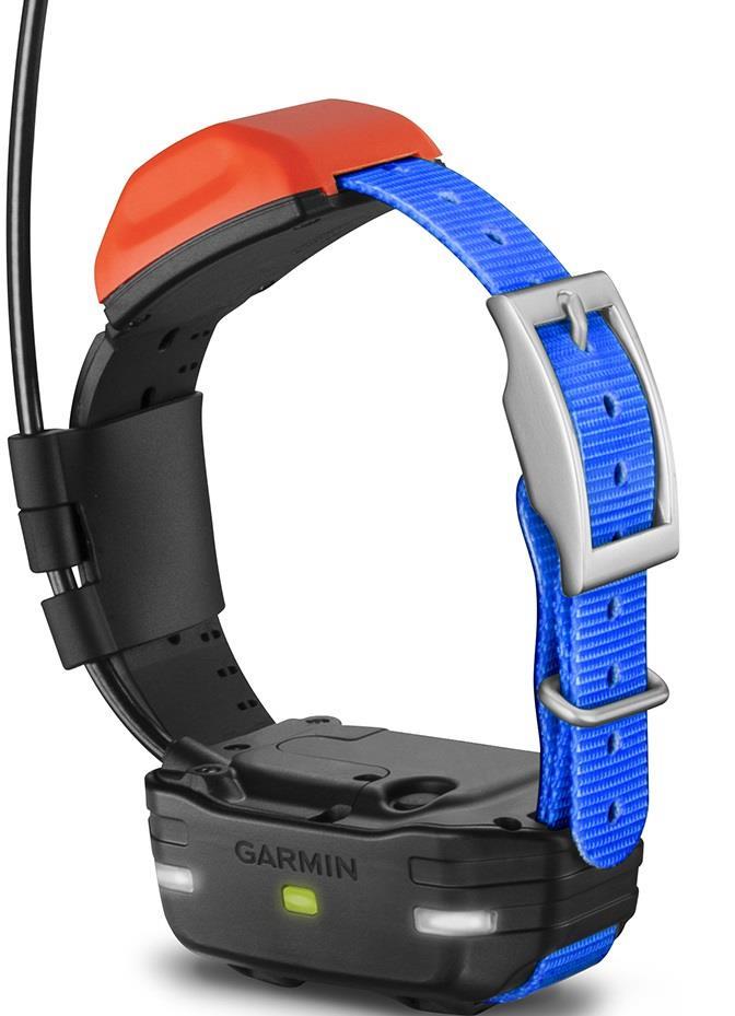 T5 Mini Dog Device - not applicable 1