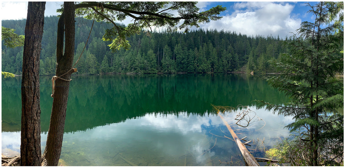 Hiking in the Fraser Valley