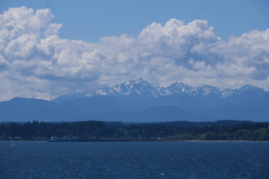 Complete Guide to Olympic National Pack
