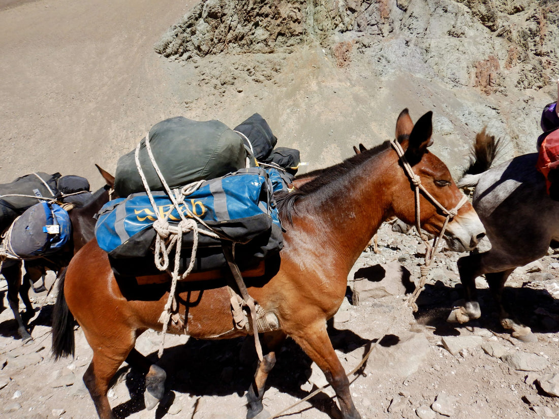 Aconcagua Gear Review: Rab Expedition Kitbag 120