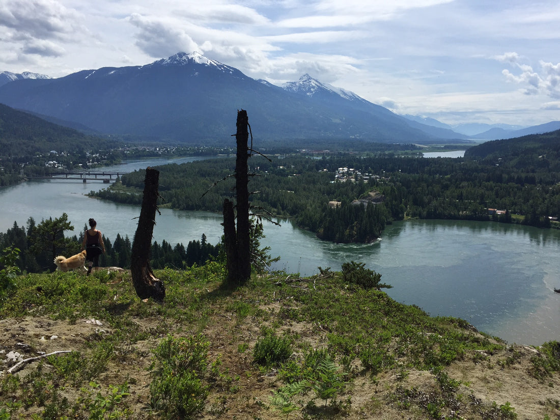 An Interview with VPO Revelstoke