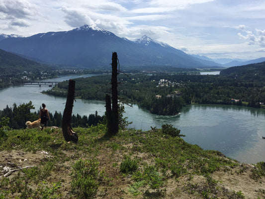 An Interview with VPO Revelstoke