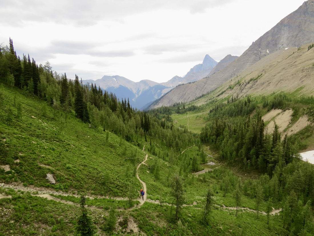Exploring Rockwall Trail in Kootenay National Park
