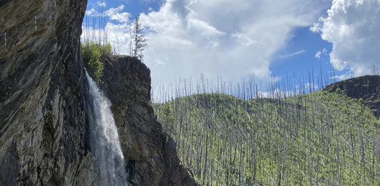 Christie Falls - Okanagan, BC