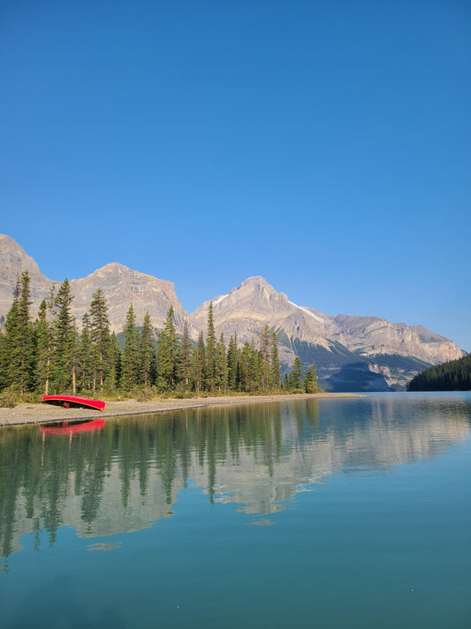 Everything You Need For A Successful Canoe Trip
