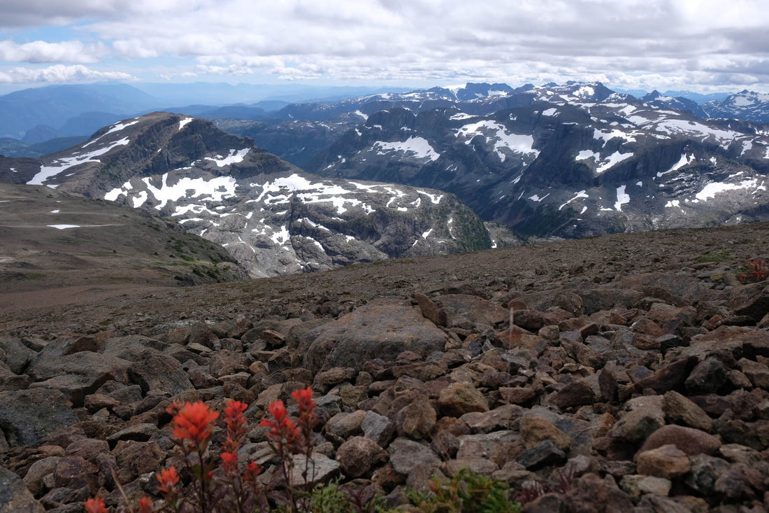Gear Review: Ursack | Opsak | Aluminum Liner