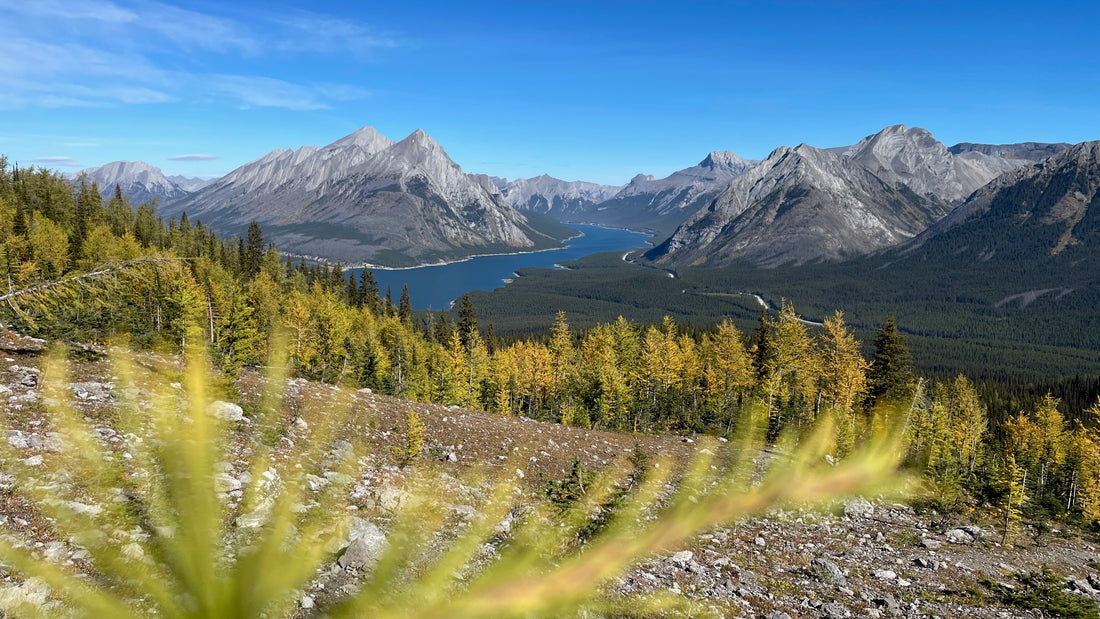 Fall in the Canadian Rockies