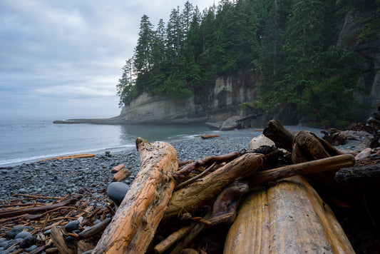 The West Coast Trail Cheat Sheet with VPO Abbotsford & VPO Vernon