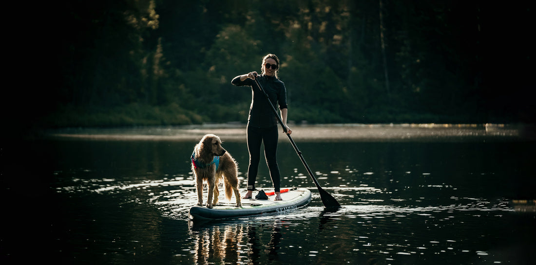 Stand Up Paddleboards - Which one to pick?