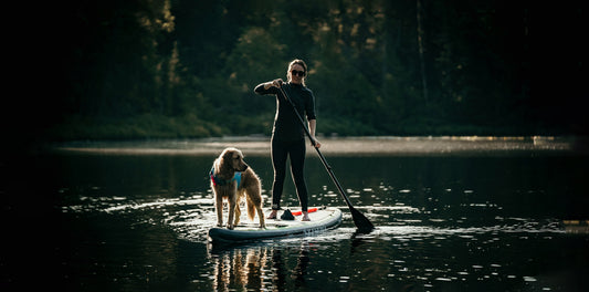 Stand Up Paddleboards - Which one to pick?