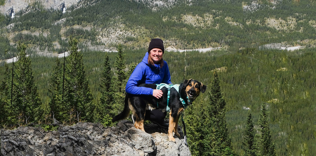 Gear Review: Ruffwear Flagline Harness, Tried and True