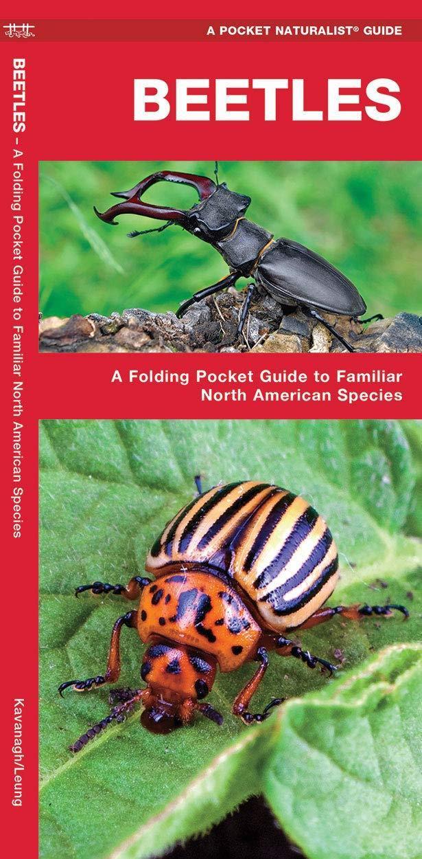 Pocket Naturalist Guide: Beetles - not applicable 1