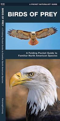 Pocket Naturalist Guide: Birds of Prey of North America - Not Applicable 1