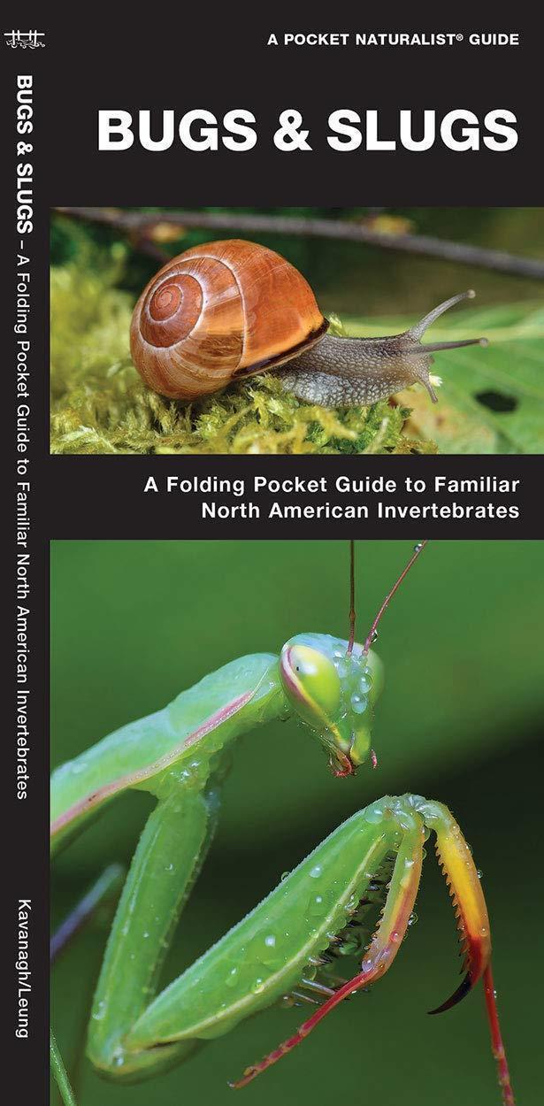 Pocket Naturalist Guide: Bugs and Slugs 2nd Edition - Not Applicable 1