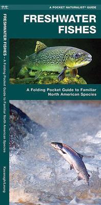 Pocket Naturalist Guide: Freshwater Fishes  - Not Applicable 1