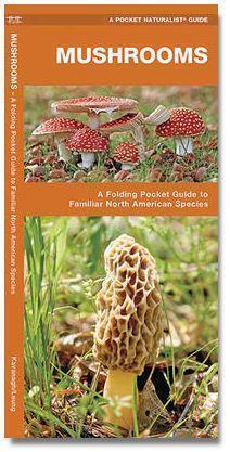 Pocket Naturalist Guide: Mushrooms of North America - Not Applicable 1