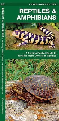 Pocket Naturalist Guide: Reptiles & Amphibians - Not Applicable 1