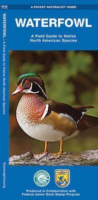Pocket Naturalist Guide: Waterfowl - Not Applicable 1