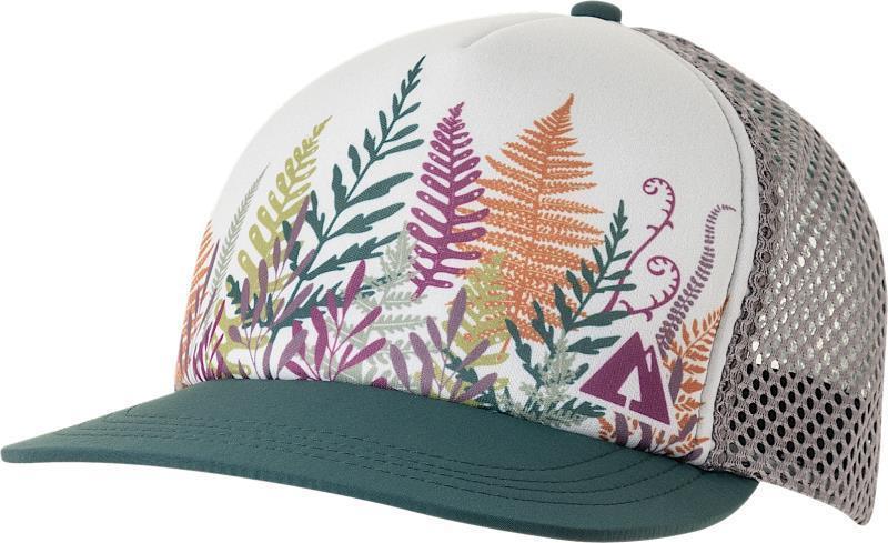 Fern - Evergreen 1
