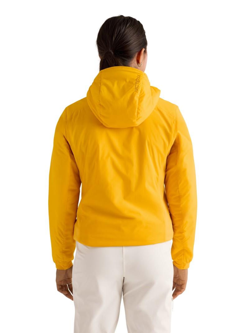 Atom Hoody - Womens - larch 1
