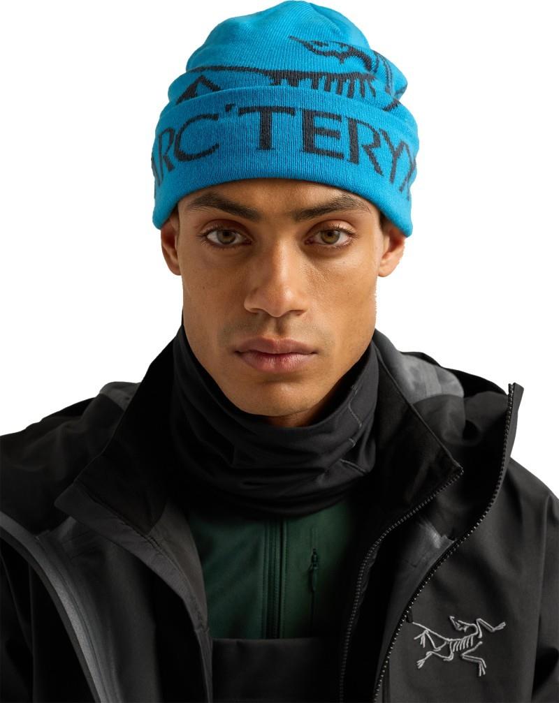 Bird Word Toque - aquaculture / black sapphire 1