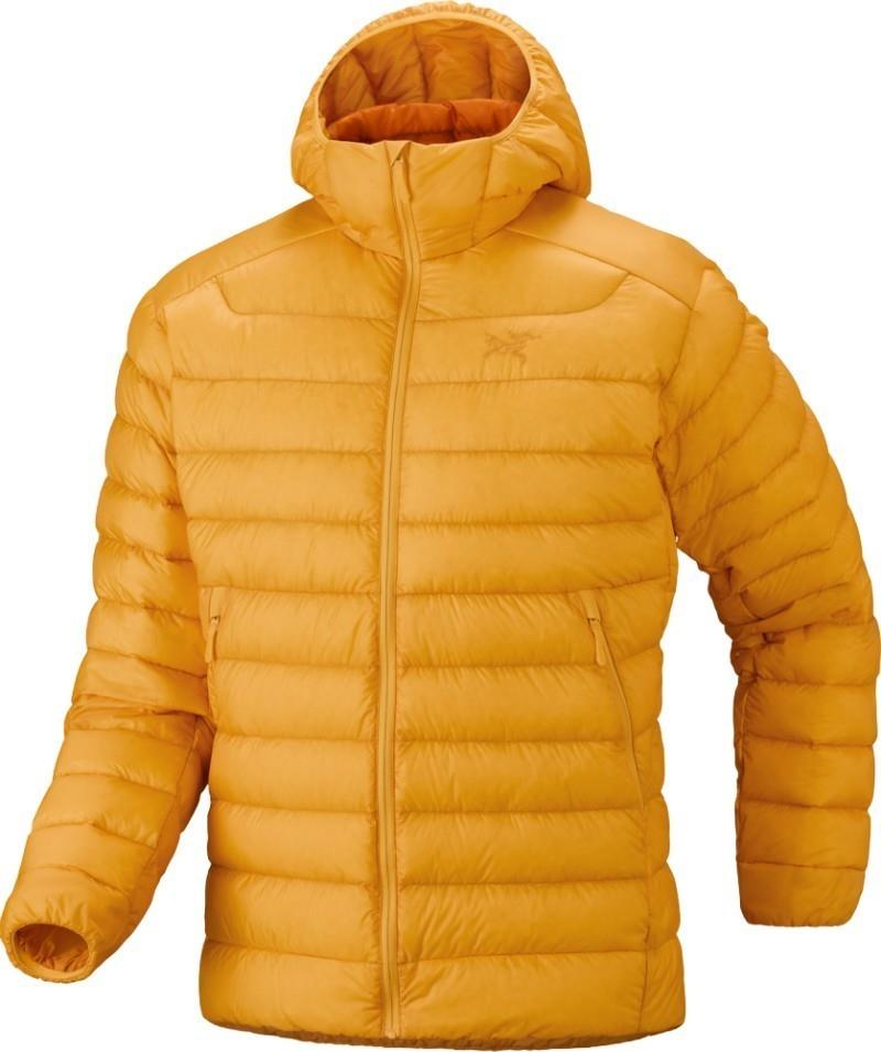 Cerium Hoody - Mens - larch 1