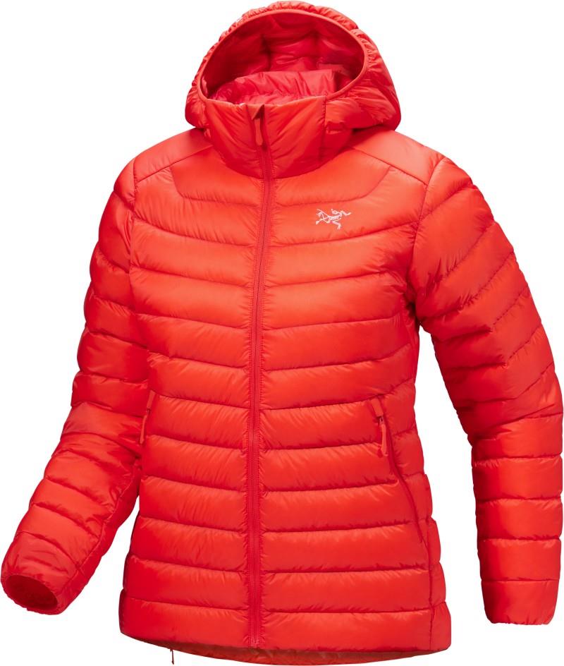 Cerium Hoody - Womens - dynasty 1