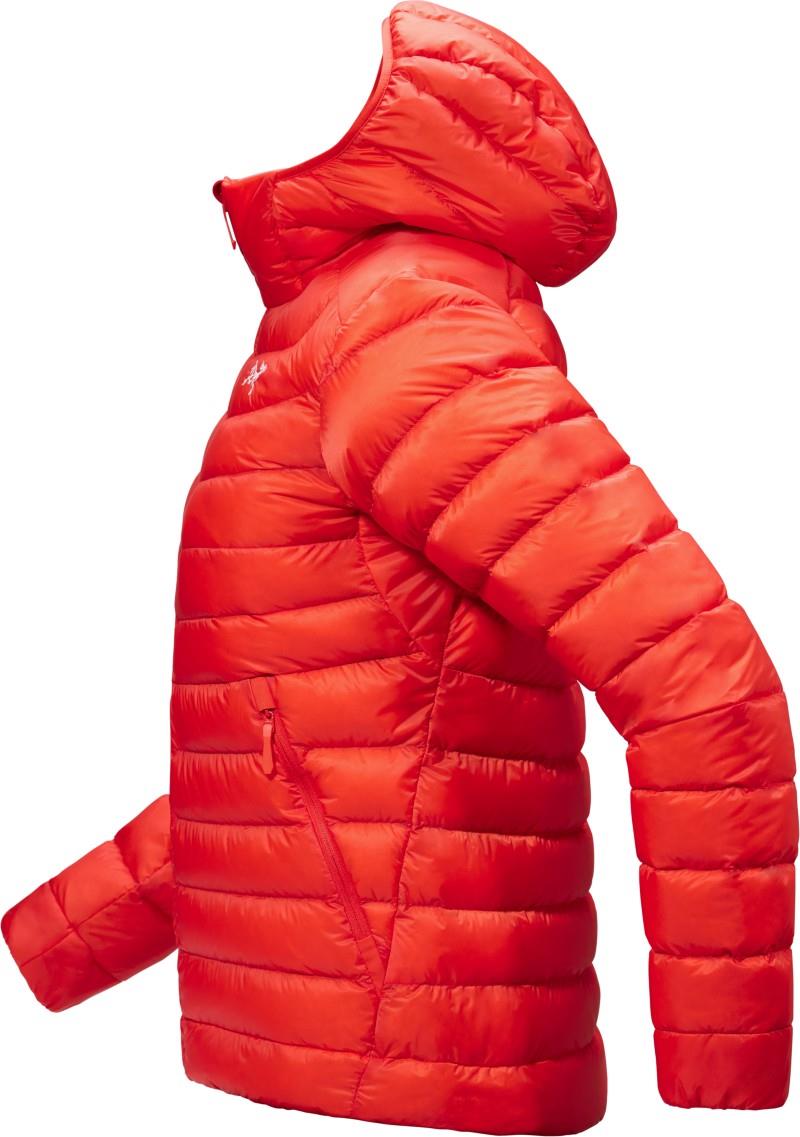 Cerium Hoody - Womens - dynasty 1