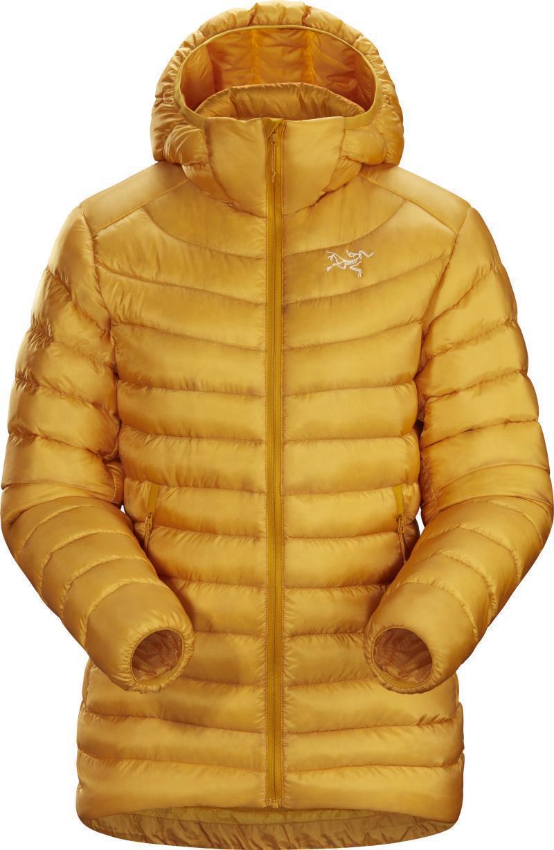 Cerium LT Hoody - Womens  - quantum 1