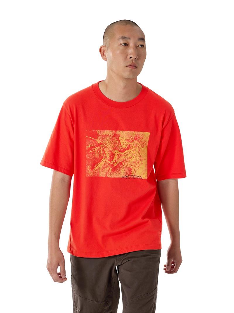 Kragg Cotton Lithographica SS - Mens - dynasty 1