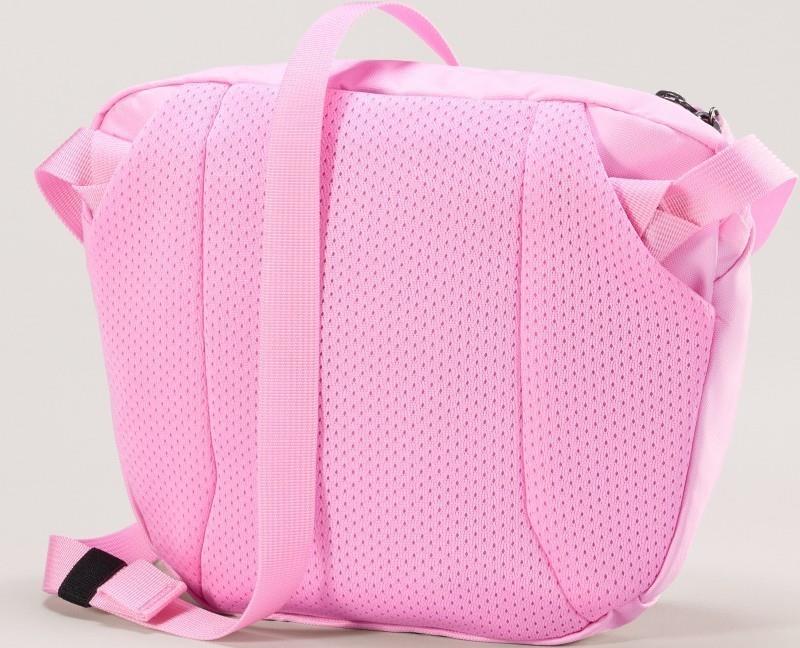 Mantis 2 Waist Pack - pineberry 1