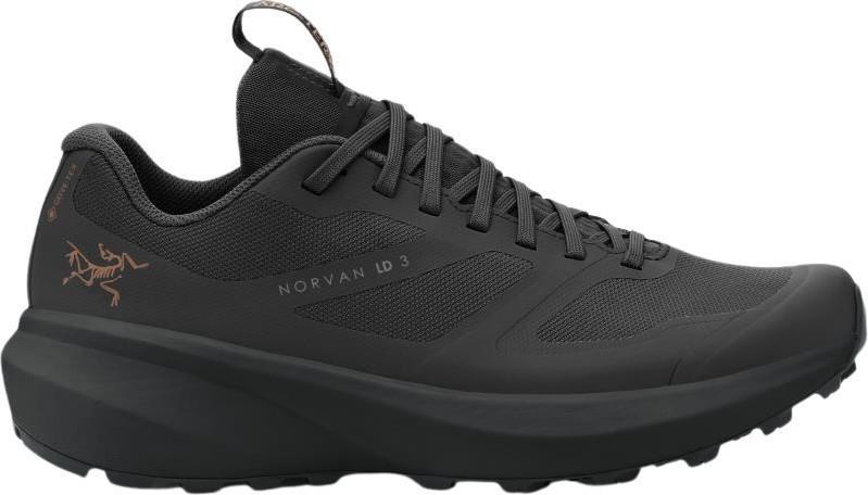 Norvan LD3 GTX - Womens - black / black 1