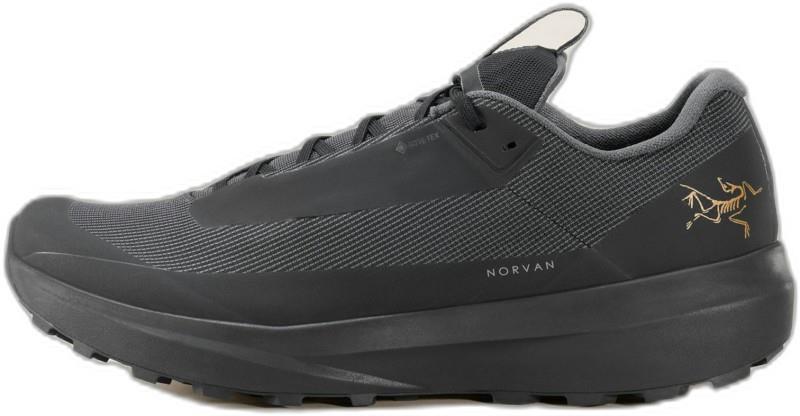 Norvan LD 4 GTX - Mens - black / black 1
